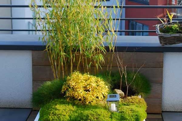 Jardinières basses IMAGE'IN en fibre ciment, fabriquées en France et sur mesure