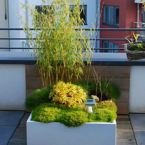 Jardinières basses IMAGE'IN en fibre ciment, fabriquées en France et sur mesure