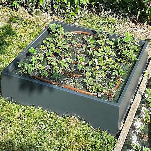 Carré potager - bacs bas IMAGE'IN