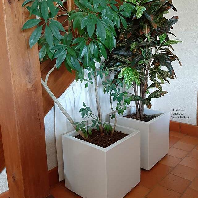 ICC Jardinières cubiques IMAGE'IN en fibre ciment sur mesure - Intérieur