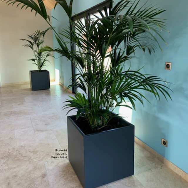 ICC Jardinières cubiques IMAGE'IN en fibre ciment sur mesure - Intérieur