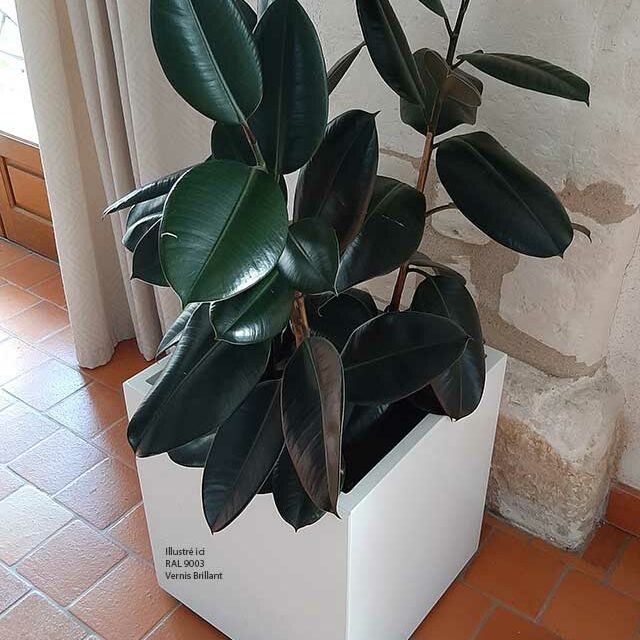 ICC Jardinières cubiques IMAGE'IN en fibre ciment sur mesure - Intérieur