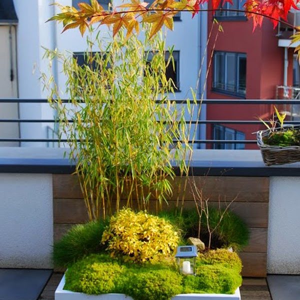 2013-11-24_12-34-39R