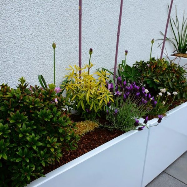 2014-05-03_14-23-38R