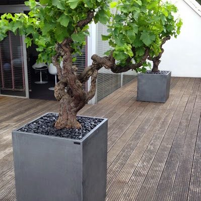 Jardinière carrée IMAGE'IN patinée zinc