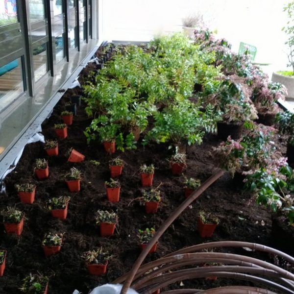 Bac Steelab Acier Zingué Ral 7042 micronisé PLANTATIONS