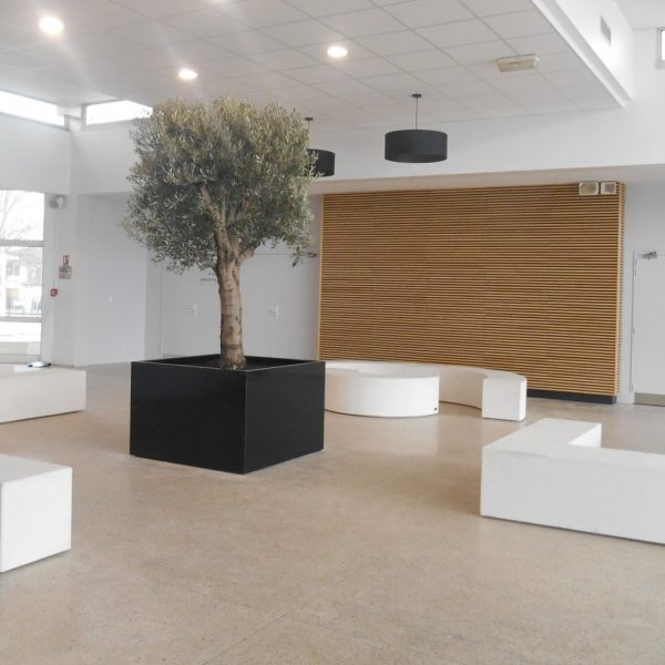 Bac _ arbre Image’In Lyc_e Kastler R1