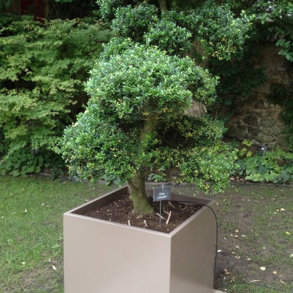 IMG_0181R ICC Jardinières cubiques IMAGE'IN en fibre ciment sur mesure