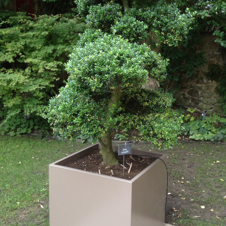 ICC Jardinières cubiques IMAGE'IN en fibre ciment sur mesure