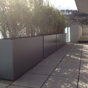 Bacs IMAGE IN Bambous en brise vue Aménagement terrasse