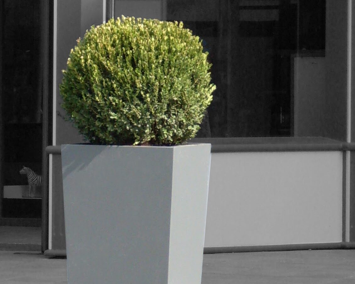 Jardinière carrée évasée IMAGE'IN