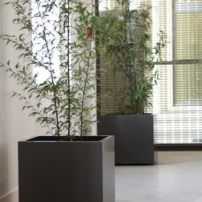 ICC Jardinières cubiques IMAGE'IN en fibre ciment sur mesure