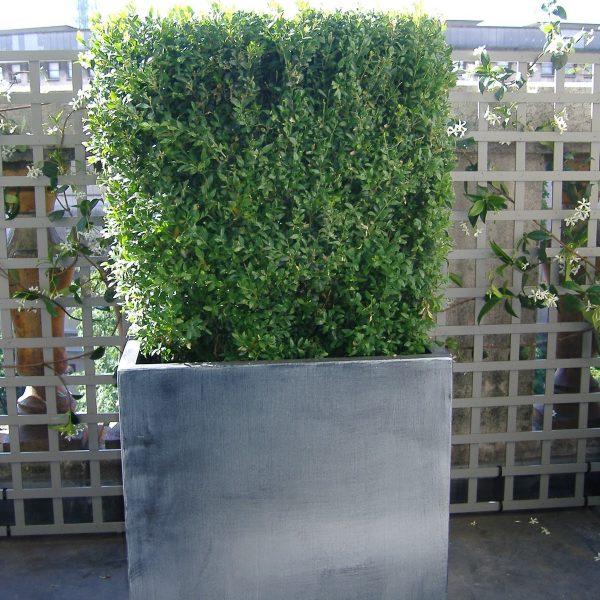 TRAVAUX FINIS 001