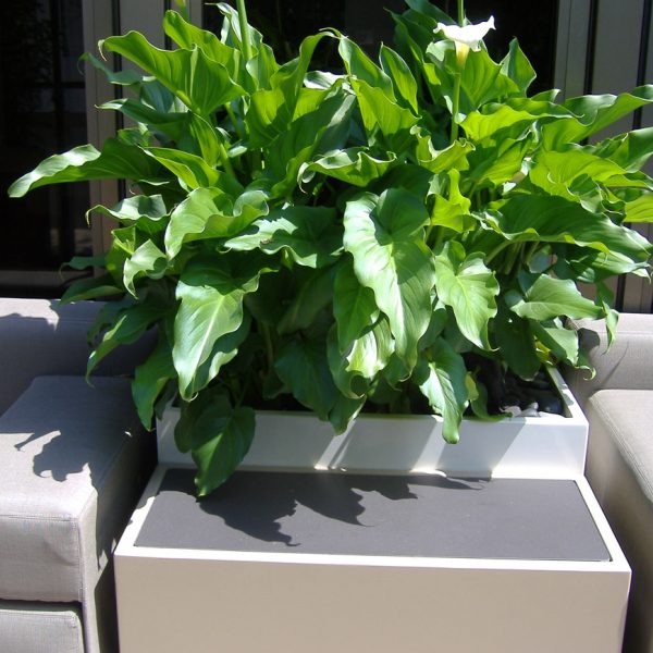 Table plateau céramique 2L