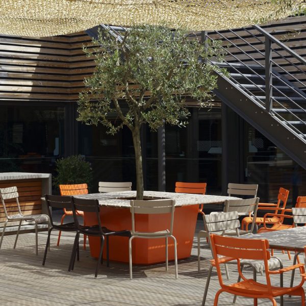 Virtual Expo DSC_2241_RL