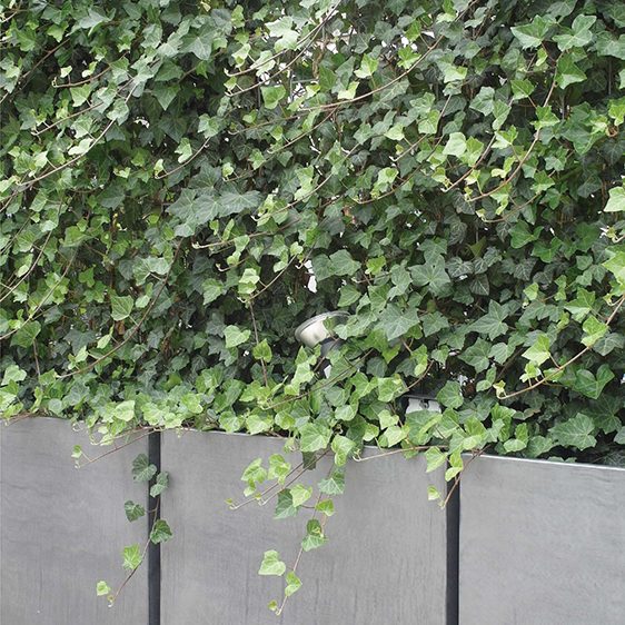 terrasse dusseldorf 4L