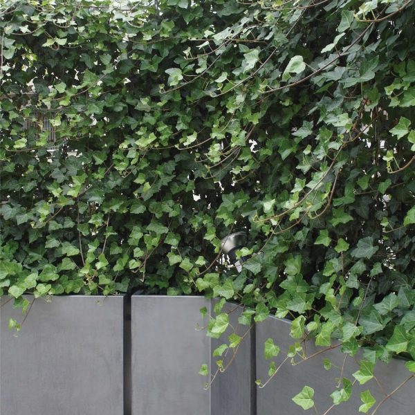 terrasse dusseldorf 5