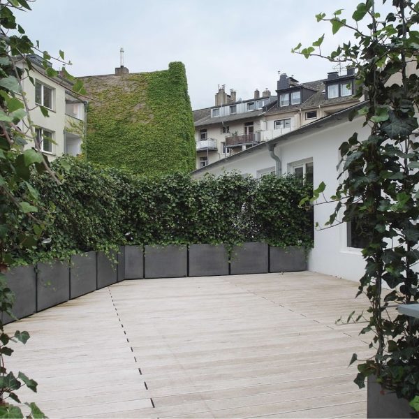 terrasse dusseldorf 7 IMAGE'IN IRM - Jardinières rectangulaires fabriquées en France, en fibre ciment sur-mesure, avec patine imitant l'aspect du zinc.