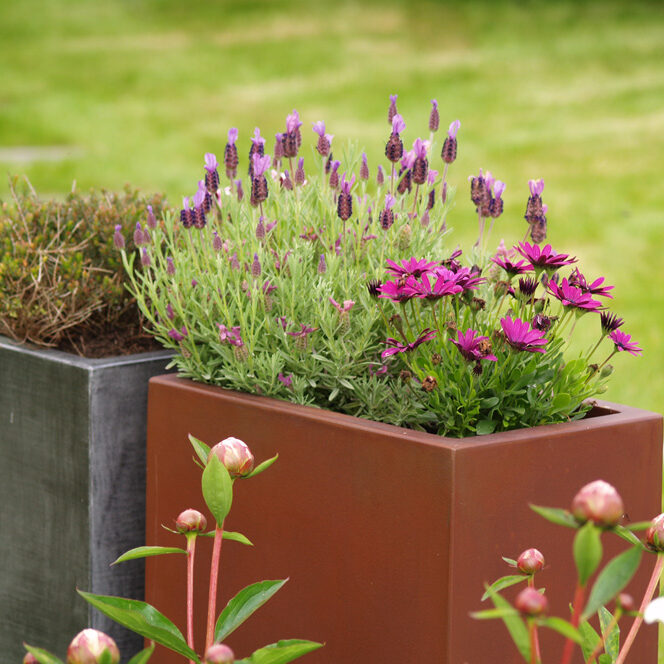 Jardinières fines IMAGE'IN IRF en fibre ciment sur mesure