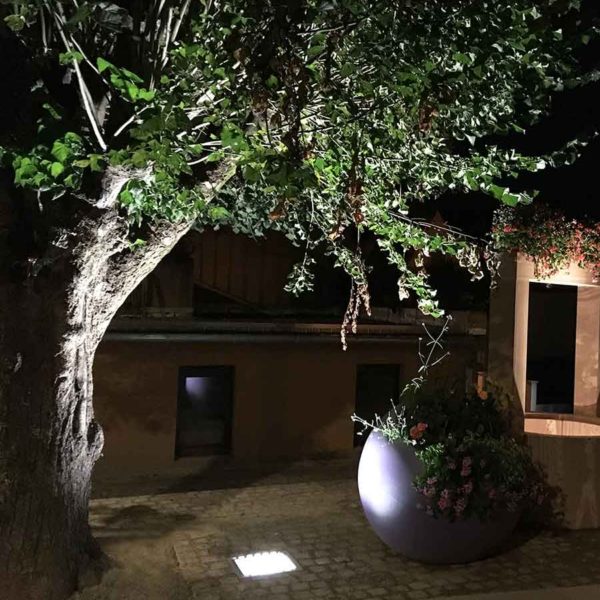 Fosse-à-projecteur-CJCJ-5-ERNOSLHEIM-SUR-BUCHE-L