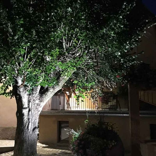 Fosse-à-projecteur-CJCJ-7-ERNOSLHEIM-SUR-BUCHE-L