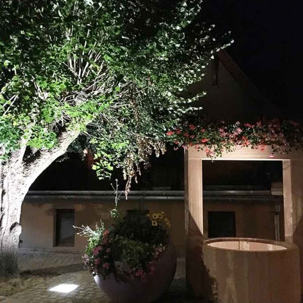 Fosse-à-projecteur-CJCJ-ERNOSLHEIM-SUR-BUCHE-L