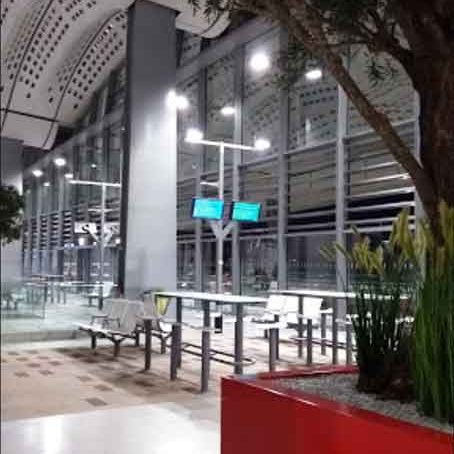 bac-steelab-arbre-artiiciel-gare-motpellier-sud-3