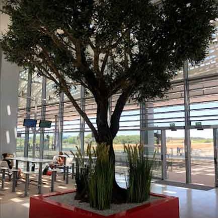 bac-steelab-arbre-artiiciel-gare-motpellier-sud-4