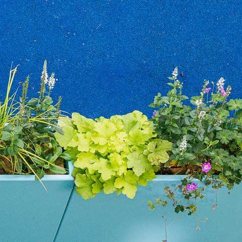 Jardinières-fines-IMAGE’IN-séparation-espace Séparation d'espaces avec des jardinières fines IMAGE'IN