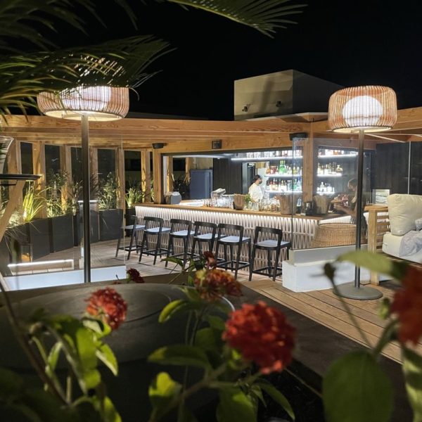 STEELAB SBA metal planters with removable growing tray STEELAB SBA metal planters with removable growing tray