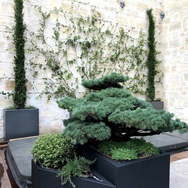 bac-alu-patine-zinc-treillage-mural Jardinières patinées aspect zinc, sur mesure, STEELAB SAS par ATELIER SO GREEN, fabrication Française, treillage mural