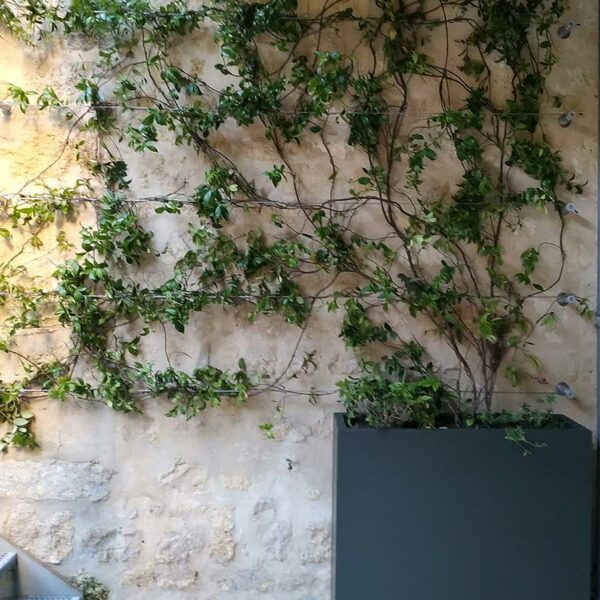 jardidiere-steelab-treillage-au-mur Jardinière sur mesure STEELAB SAS en aluminium soudé, Fabrication française par ATELIER SO GREEN