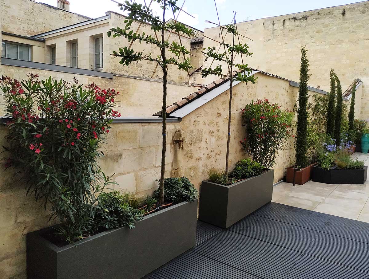 Jardinières sur mesure STEELAB SAS en aluminium soudé, Fabrication française par ATELIER SO GREEN - Arbre brise vue en hauteur