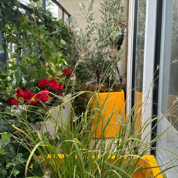 JARDINIERE-CUBIQUE-IMAGE-IN-jaune-orange-ICC1 Jardinières colorées cubiques de la gamme IMAGE'IN en fibre ciment fabriquées en France et sur mesure