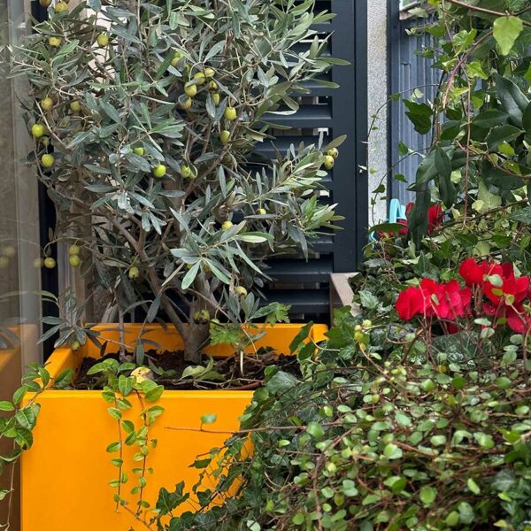 JARDINIERE-CUBIQUE-IMAGE-IN-jaune-orange-ICC2 Jardinières colorées cubiques de la gamme IMAGE'IN en fibre ciment fabriquées en France et sur mesure