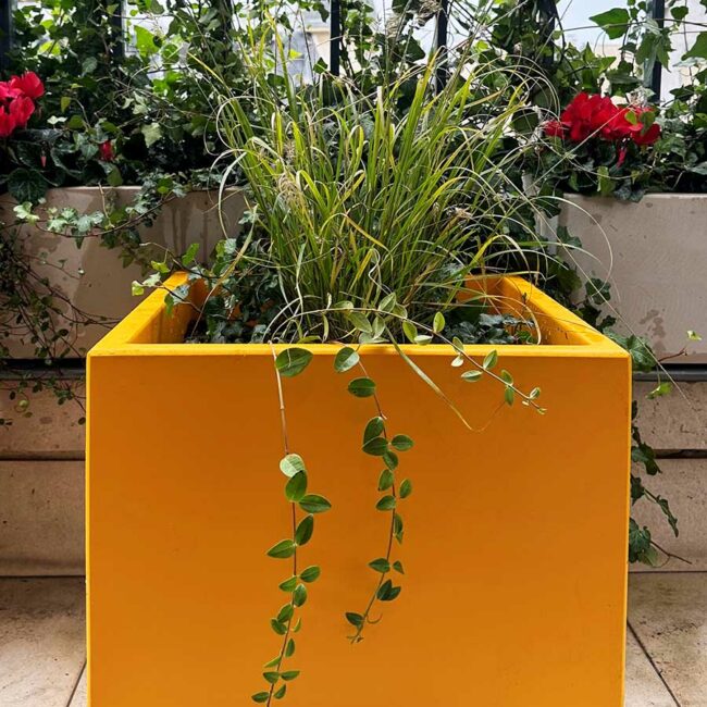Jardinières colorées cubiques de la gamme IMAGE'IN en fibre ciment fabriquées en France et sur mesure