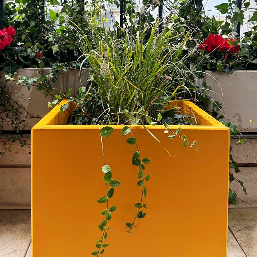 pots cubiques jaune melon de la gamme IMAGE'IN en fibre ciment fabriquées en France et sur mesure