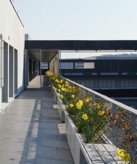 Grande longueur de jardinières avec Bacs de cultures amovibles - Gamme STEELAB SBA-L