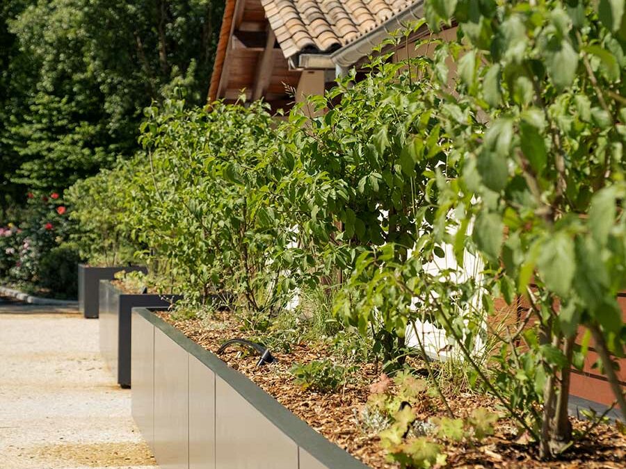 Grand linéaire de jardinières. Bacs de cultures avec panneaux d'habillage thermolaqués amovibles sur les faces visibles - Gamme STEELAB SPA-L