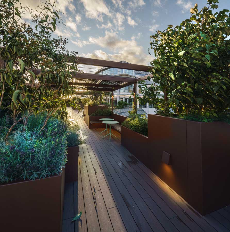 Magnifique aménagement de terrasse de bureaux parisiens avec un ensemble de Jardinières en banquette sur mesure en aluminium de la marque STEELAB de chez ATELIER SO GREEN
