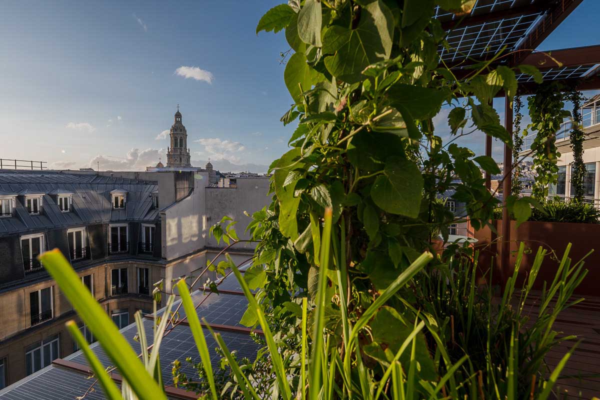 Jardinières sur mesure en aluminium de la marque STEELAB de chez ATELIER SO GREEN